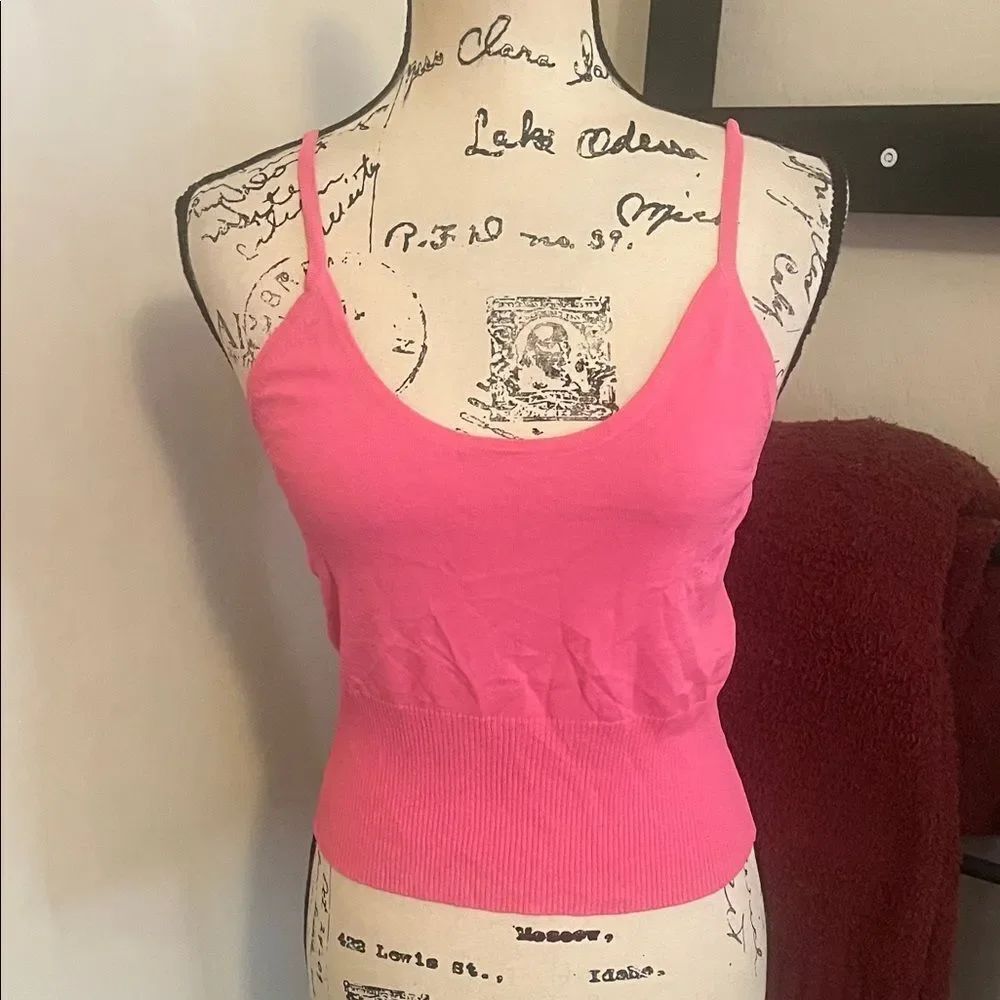 Express Y2K Pink Cropped Pullover Top Feminine 2000’s Event Party Club